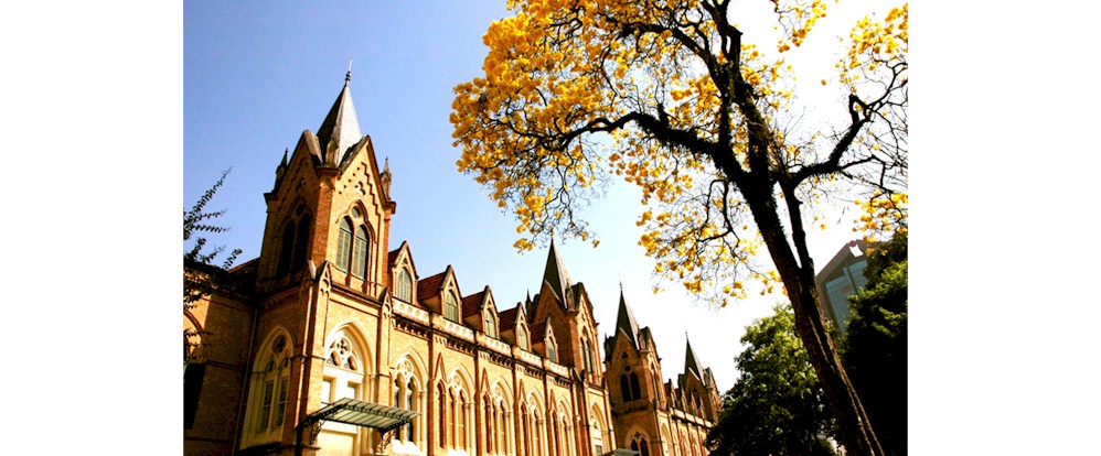 Oportunidade de Fellowship no Departamento de Oftalmo da Santa Casa de Misericórdia de São Paulo